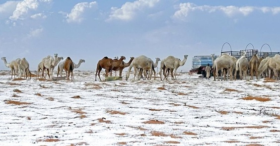 salju turun di arab saudi